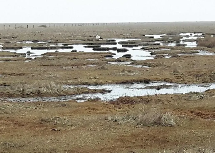 Casa de Férias Deichblick_spo *